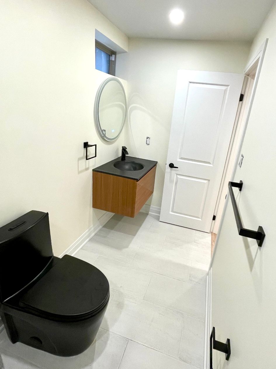 Richmond Hill basement bathroom walk-in shower